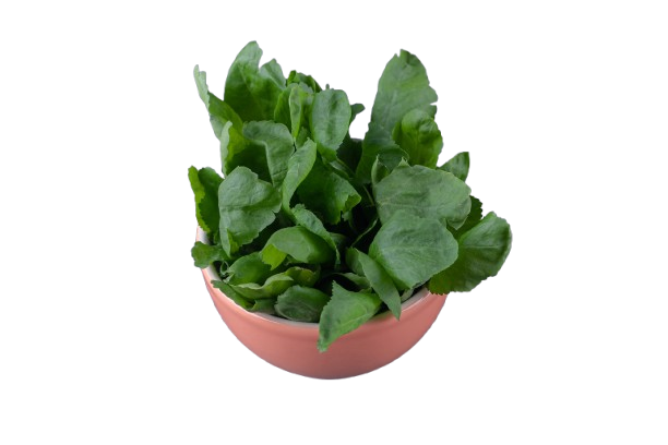 bunch-watercress-bucket-marble-surface-removebg-preview